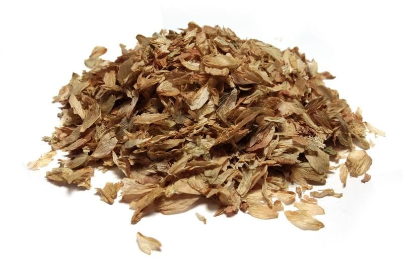 Bylík Chmel šištice 10g