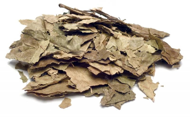 Bylík Achiote list