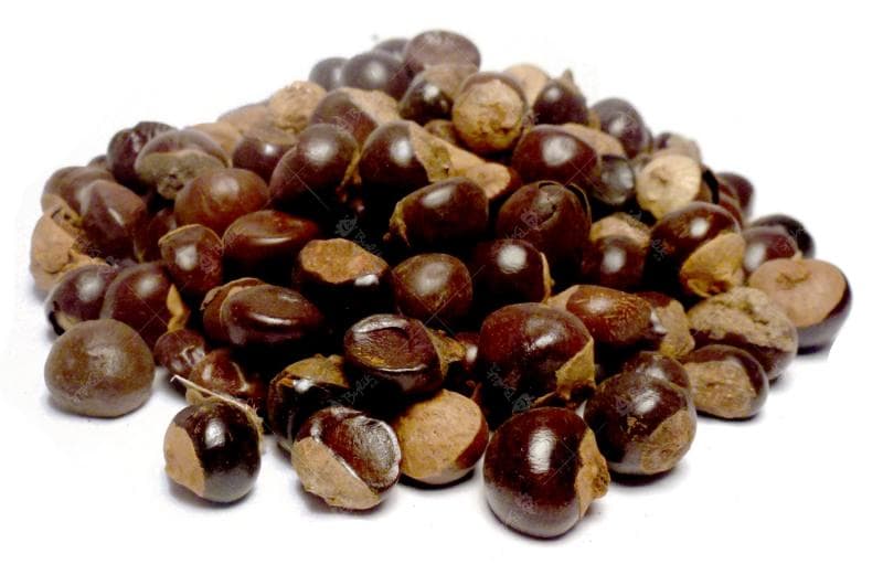 Bylík Guarana plod