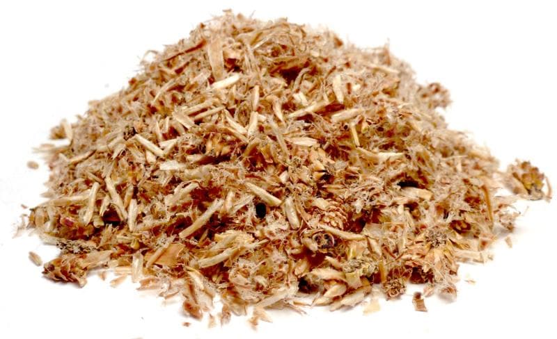 Bylík Borovice výhonky 30g