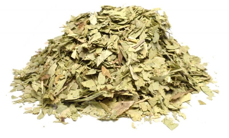 Bylík Senna list